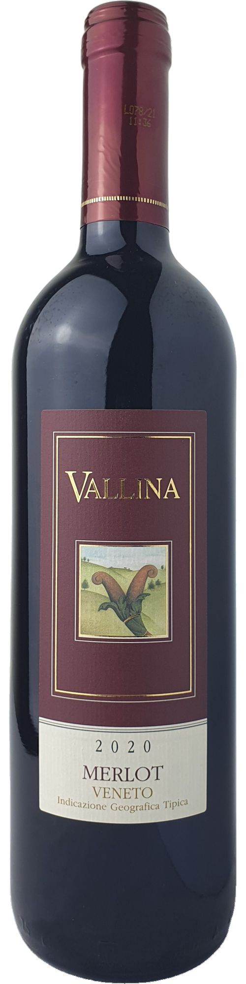 Vallina Merlot del Veneto IGP Rotwein trocken