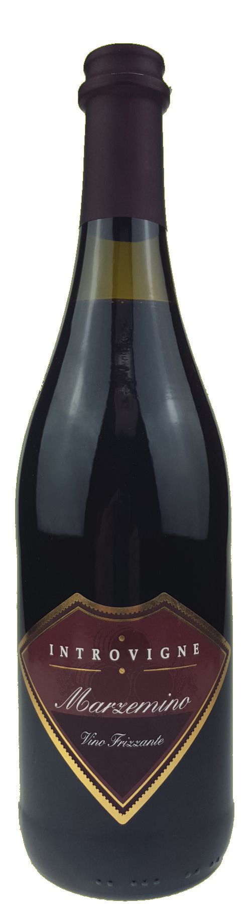 0,75l Marzemino Frizzante IGT Veneto Perlwein rot